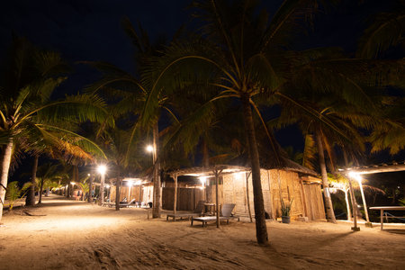 Palm trees and bungalows on the beach at night.の写真素材