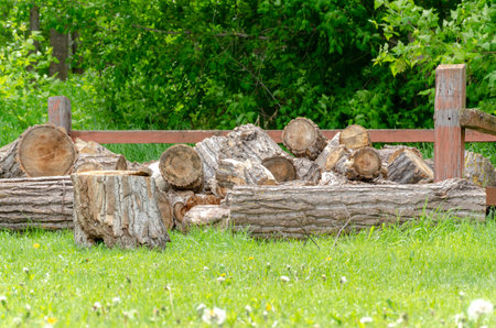 firewood in the grass