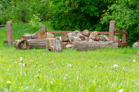 firewood in the grassの写真素材