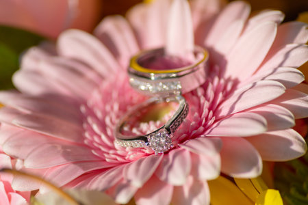 wedding rings on a close up of a pink flowerの写真素材
