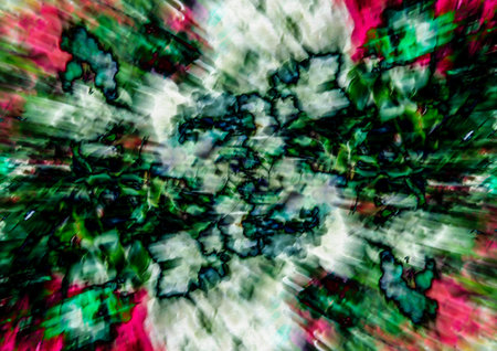 abstract flower backgroundの写真素材