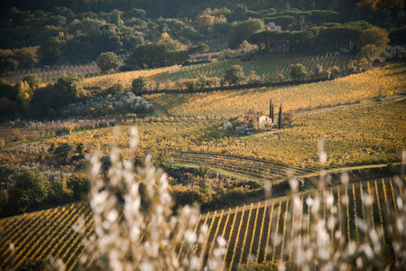 Beautiful landscape in Tuscany - enjoy the beautiful life while travelingの写真素材