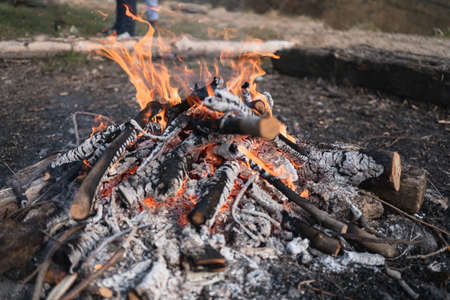 Fireplace in nature with wood and embers ready for grillingの写真素材