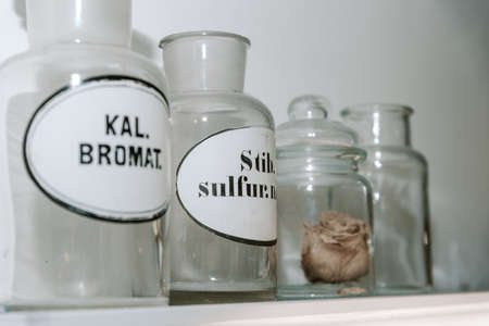 old pharmacy jars which used to be used for medicines - roseの写真素材