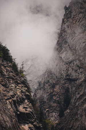 Rocks, forests and meadows covered with fog in an alpine mountain world in Switzerlandの写真素材