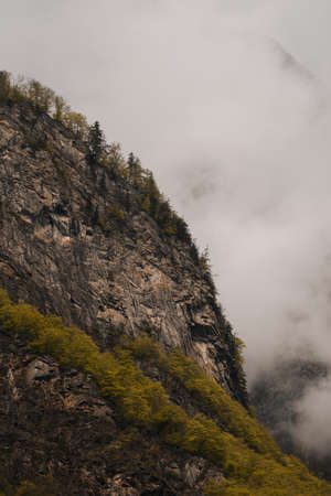 Rocks, forests and meadows covered with fog in an alpine mountain world in Switzerlandの写真素材