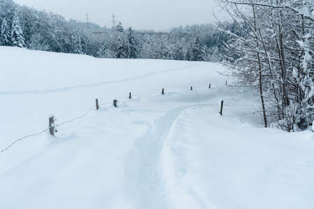 Snow covered field in Switzerland- the perfect weather for hikingの写真素材