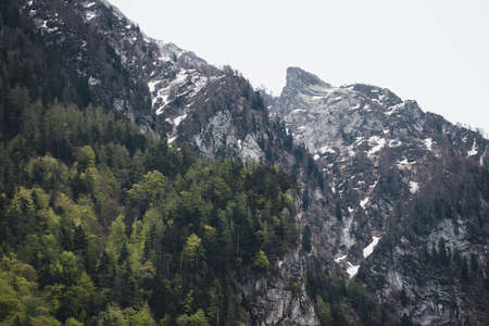 Mountains covered with forest in the Swiss Alpsの写真素材