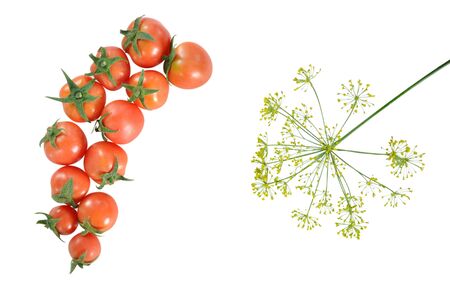 red tomatoes and branch of dill isolated on whiteの写真素材