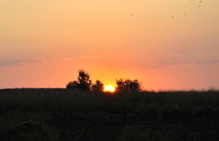 field and a beautiful, colorful sunsetの写真素材
