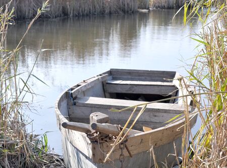 boat in the reeds in autumnの写真素材