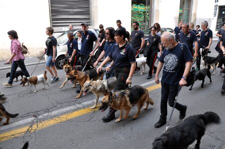 BRESCIA,ITALY - MAY,27: Dogs Club participates in the parade of AICS (Italian Association of Culture and Sports) 3 ^ RIEDIZIONE XXMIGLIA,   May 27, 2012 in Brescia, Italyのeditorial素材