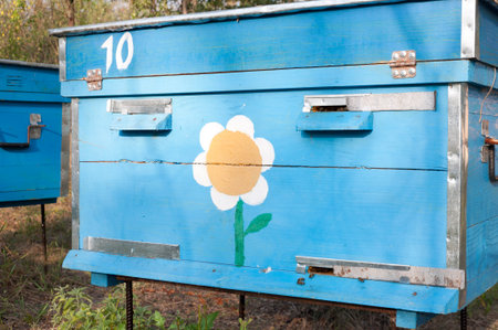 hive on a apiary in the summer season honey harvest