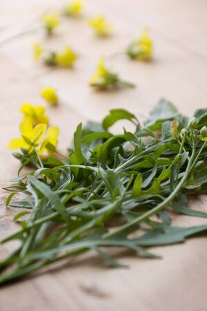 bunch of arugula on a wooden background with its floweringの写真素材