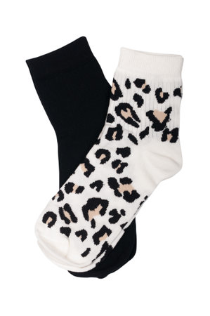 female socks isolated on white background, black and with animal printの写真素材