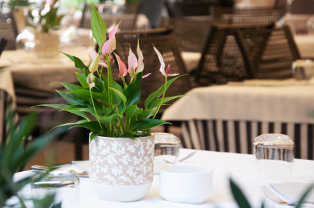 elegantly served outdoor tables in a restaurant in Verona, Italyの写真素材
