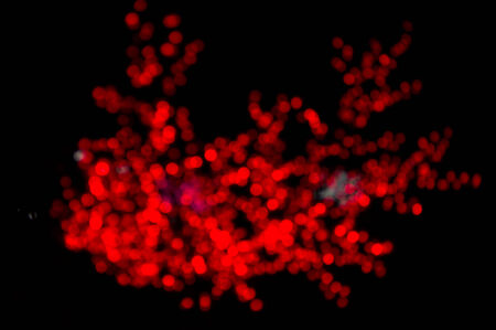 Abstract image of bokeh lights in the dark.の写真素材