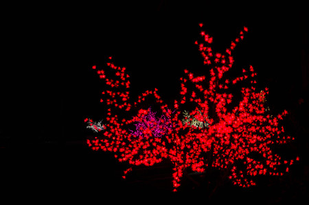 Abstract image of bokeh lights in the dark.の写真素材