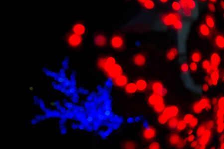 Abstract image of bokeh lights in the dark.の写真素材