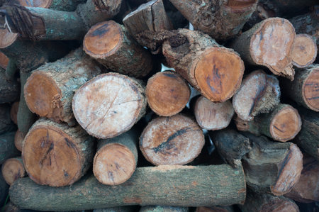 Background of firewood stacked in the woodpile.の写真素材