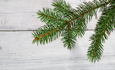 Christmas background with branch fir tree decoration on white wood.