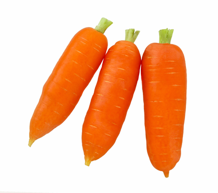 Carrot isolated on a withe background. Fresh carrot with green stemの写真素材