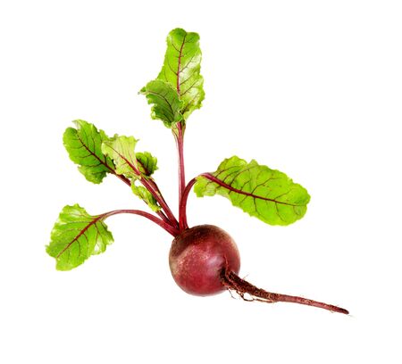 Beet. Beetroot with leaves, fresh whole beet isolated on white background. Raw red beetroot.の写真素材