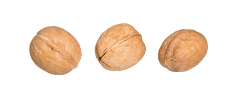 Walnuts isolated on white background. Macro of nuts. Nuts and seeds of the common walnut.