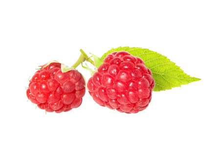 Raspberry with leaves isolated on white background. Ripe raspberries with raspberry leaf.