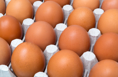 Egg, Close-up view of raw chicken eggs in egg box