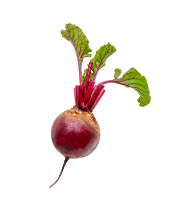 Beetroot on white. One fresh red beet isolated on white background