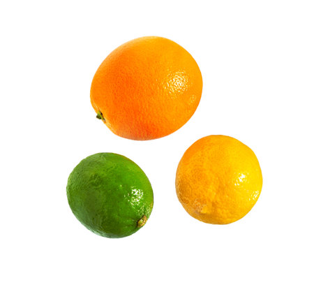 Citrus fruit. Orange, lemon, lime., isolated on white background. Collection.の写真素材