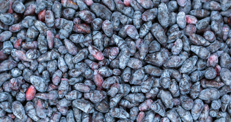 Fresh honeysuckle as background, top view. Blueberry fruit.