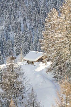 Wooden rustic style house at Switzerland Alpsの写真素材