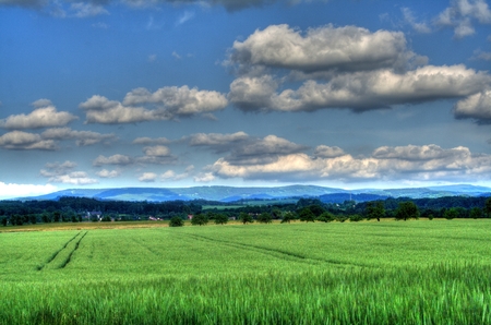 natureの写真素材