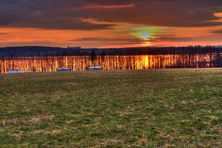 sunsetの写真素材