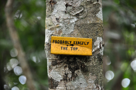 Probably Exactly the Topの写真素材