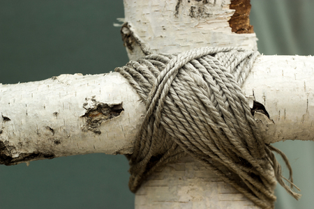 Closeup of birch sticks. Connected birch trunks.の写真素材