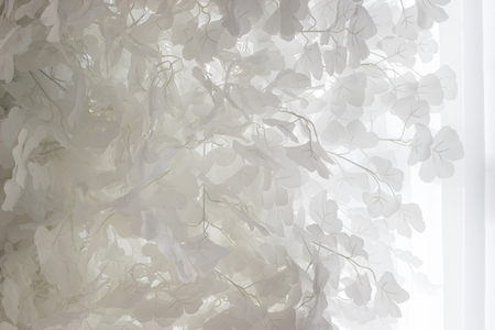 Beautiful white leaves against the tulle curtains. Background.の写真素材
