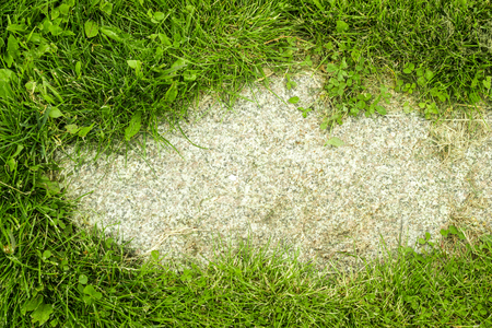 Stone with green grass background for garden design.の写真素材