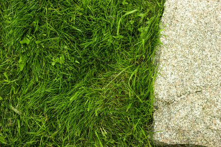 grass and side stone top viewの写真素材