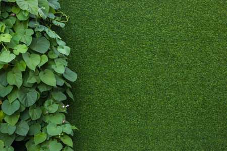green artificial grass garden wallの写真素材