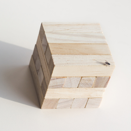 Wood blocks on a white background. Insect fly on cube. Concept.の写真素材