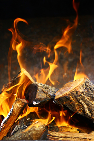 Close up view on a burning woods in a firepitの写真素材