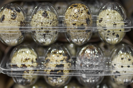 Quail eggs in a plastic box packing on a shelf in a supermarket store.の写真素材