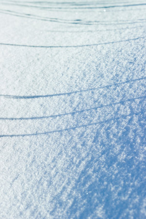Parallel shadows on the fresh snow backgroundの写真素材