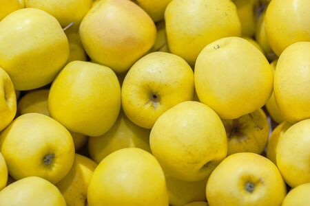 Lots of yellow apples. Natural condition. Top view as backgroundの写真素材