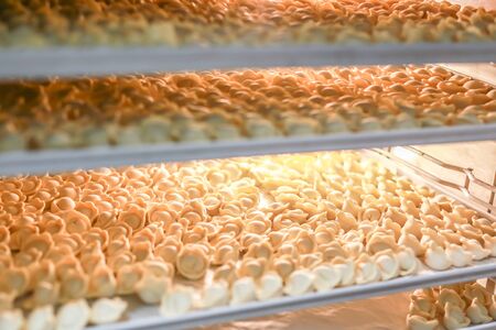 Many frozen dumplings in open manufacturing refrigerator. Frozen semifinished food storage racks.の写真素材