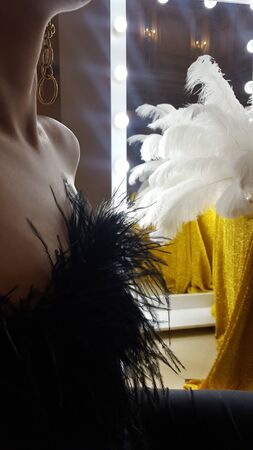 Beautiful young woman silhouette and decorative ostrich feathers on a gold table next to a make-up mirrorの写真素材