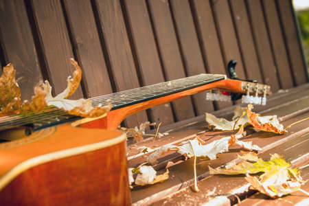 Close-up view of a fragment of acoustic classical guitar with fall maple leaf on wooden background. Autumn live concert concept.の写真素材